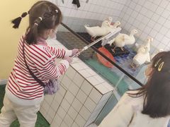 -zoonana室内动物园(东方福来德店)