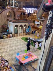 -卡通尼·Safari非洲探索乐园·生日会(金桥国际商业广场店)