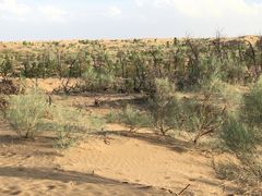 -亿利库布其七星湖沙漠生态旅游区