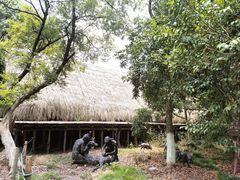 -河姆渡遗址博物馆