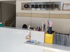 -凯瑞希宠物医院·狂犬免疫·微创·皮肤科