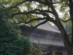-阿育王寺