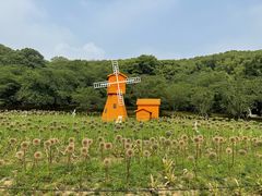 -苏州上方山国家森林公园
