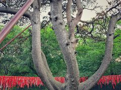 -北陵公园