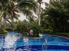 -味餐厅·海鲜·火锅·自助餐