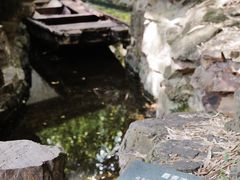 -秋霞圃