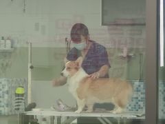 -全心全意动物诊疗中心医院(北苑店)