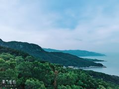 -花竹村