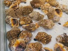 -川骄海鲜自助(河东店)