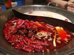 -朱光玉火锅馆(正弘城店)