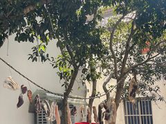 -杭州西湖风景名胜区-满觉陇四眼井