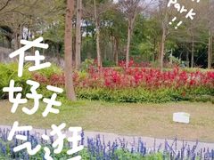 -福田红树林生态公园