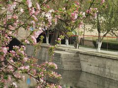 -元大都城垣遗址公园