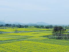 -滨湖塘西河公园