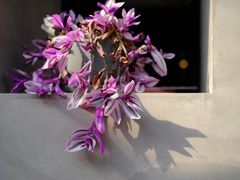 -十一咖啡(青年大街工厂店)