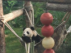 -大连森林动物园