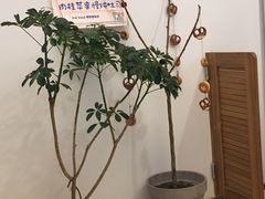 -慢熟面包店bud bread(孩儿巷店)