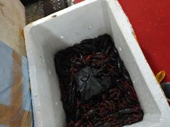 -四道口水产市场