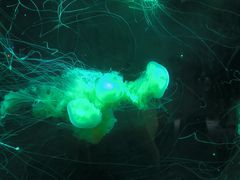 -南京金牛湖风景区