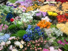 -双季花艺园艺市场(浦东店)