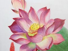 -八哥美术·成人美术画室(总校区)