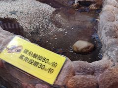 -大连圣亚海洋世界