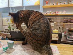 -猫的天空之城概念书店(杭州南宋御街店)
