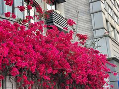 -有红鸡毛店·川菜(建设路店)