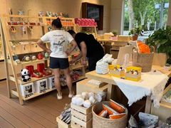 -春晖园度假酒店温泉