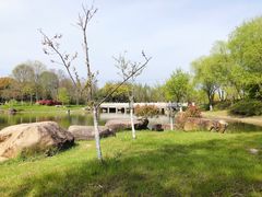 -贡湖湾湿地公园