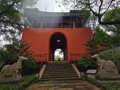 -越秀西湖花市(广州城市广场花卉店)