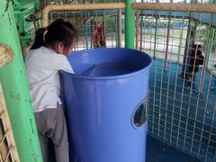 -哈尔滨文化公园