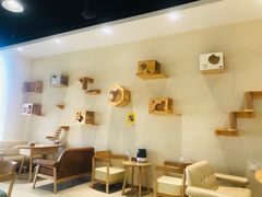 -藏猫猫咖啡主题馆(中央大道店)