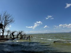 -捞渔河湿地公园