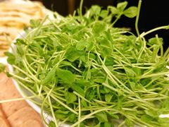 豌豆苗-太婆天府山珍酒楼(亚运村店)