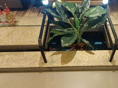 -河坝烧烤串城(金达莱店)