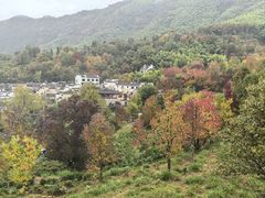 -塔川景区