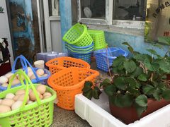 -大自然农场蔬菜草莓采摘园