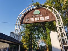 -金山农民画村-枫泾波兰倒置屋