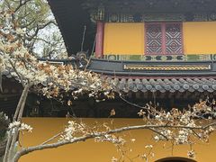 -普陀山风景名胜区-法雨禅寺