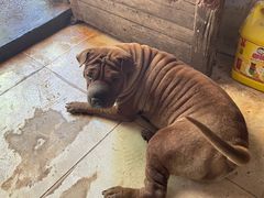 -五娭毑臭豆腐(黄兴南路店)