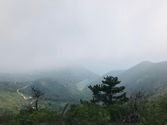 -广鹿岛景区