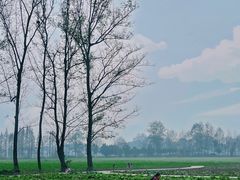 -中国天府农业博览园