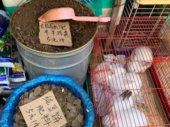 -曲阳花鸟市场(曲阳路店)