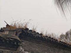 -三里河公园