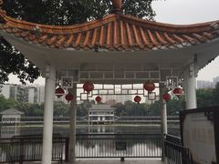 -荔湾湖公园