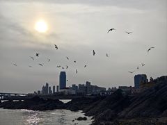 -黑石礁公园