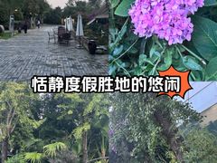 -老房子金沙元年川菜食府·花园餐厅(金沙店)