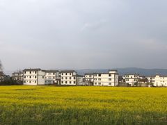 -大理洱海