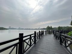 -海珠湖公园
